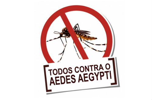 Salvador: Semana de Mobilização Nacional de combate ao Aedes aegypti começa nesta segunda