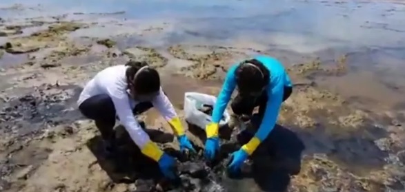 Cinco toneladas de óleo foram recolhidas na praia de Itacimirim no domingo (8)