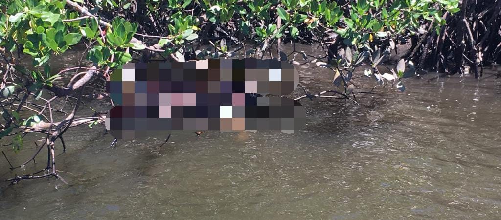Camaçari: corpo é encontrado em manguezal de Barra de Jacuípe
