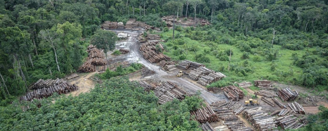 Bolsonaro autoriza uso das Forças Armadas no combate ao desmatamento na Amazônia