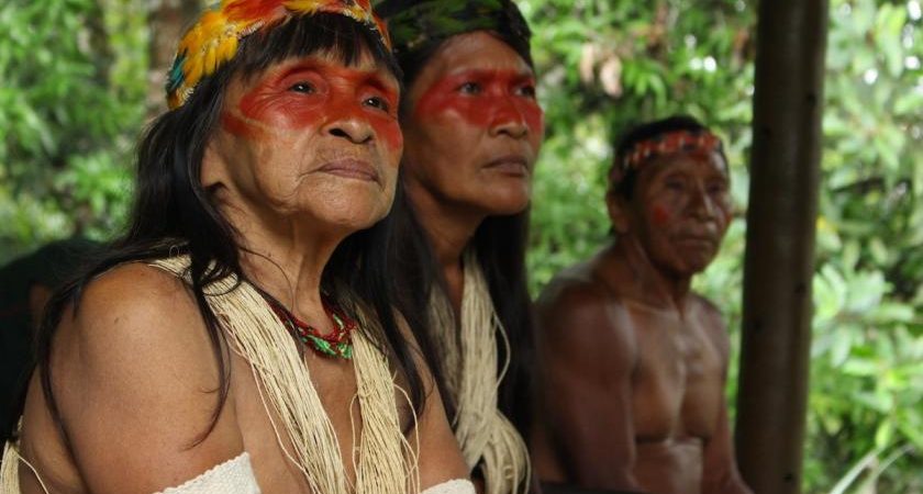 Câmara pode votar hoje medidas emergenciais contra Covid-19 para indígenas
