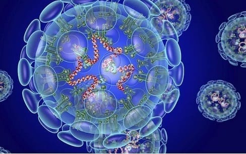 Estudo indica que seis tipos de coronavírus circularam pelo Brasil