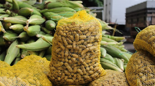 Camaçari: prefeitura comprará 10 toneladas de produtos agrícolas típicos do período junino