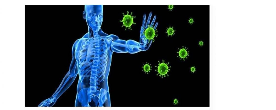 Células de defesa contra a Covid-19, em pessoas sem anticorpos detectados, são encontradas por cientistas da Suécia