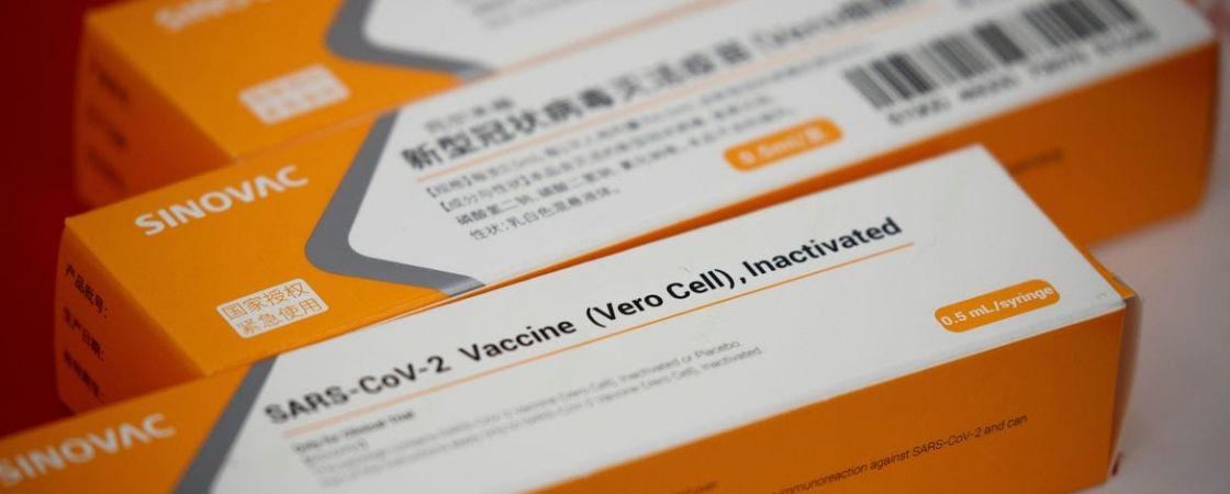 Covid-19: estudo aponta que vacina chinesa produz anticorpos em 28 dias após a sua aplicação