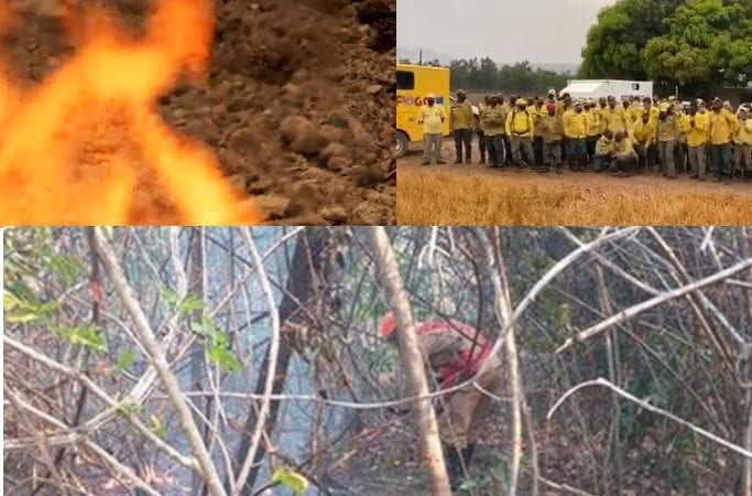 Incêndio na Chapada dos Veadeiros é extinto; cerca de 75 mil hectares podem ter sido destruídos