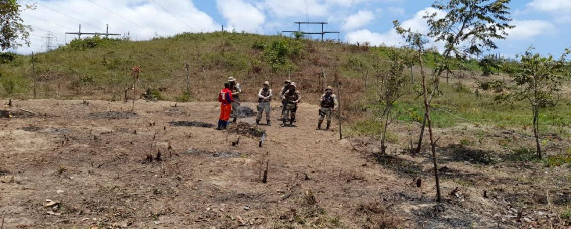 Duas pessoas foram detidas durante ação de combate à degradação ambiental em Camaçari