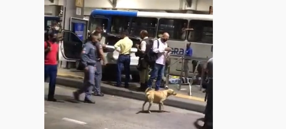 Vídeo: idoso é atropelado após carro invadir Estação Mussurunga, em Salvador