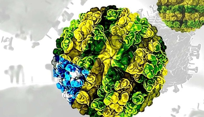 ‘De olho no futuro’: com Covid-19 em ascensão, cientistas já tentam prever vírus causador da próxima pandemia