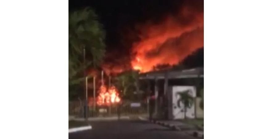 Lauro de Freitas: incêndio atinge área de bambuzal próxima a um centro de educação