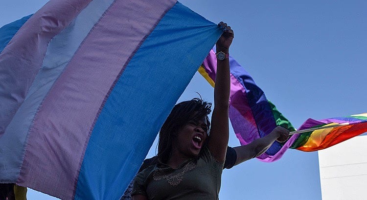 Nordeste foi a região com mais assassinatos de travestis e mulheres trans em 2020