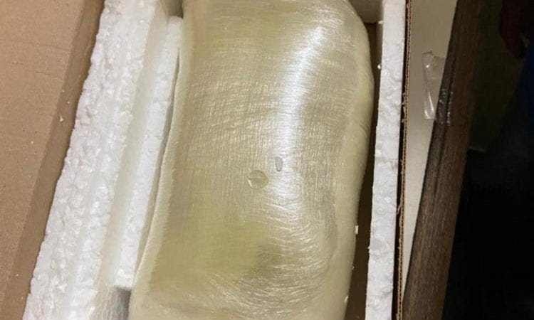 Tráfico pelo correio: Homem retira encomenda com 1 kg de cocaína e acaba preso