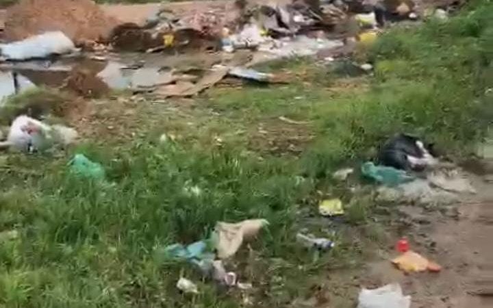 Animais mortos e risco à saúde: Moradores do Verdes Horizontes denunciam acúmulo de lixo em lugar indevido