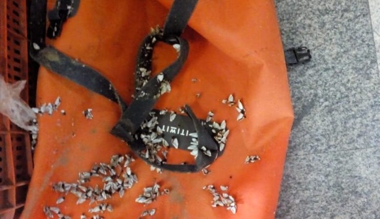Pescadores encontram mochila com 27 kg de pasta base de cocaína em praia de Salvador
