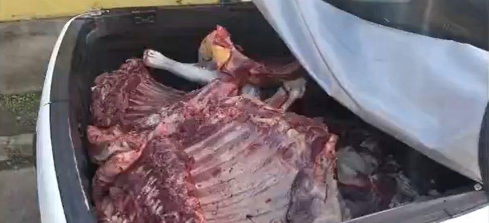 Grupo é preso por vender carne  clandestina na Bahia