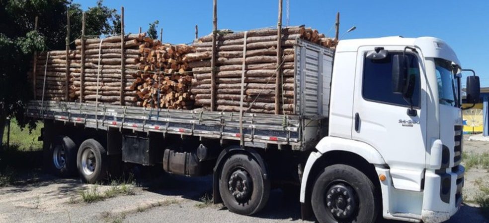 Homem é detido por transportar madeira ilegal no interior do estado