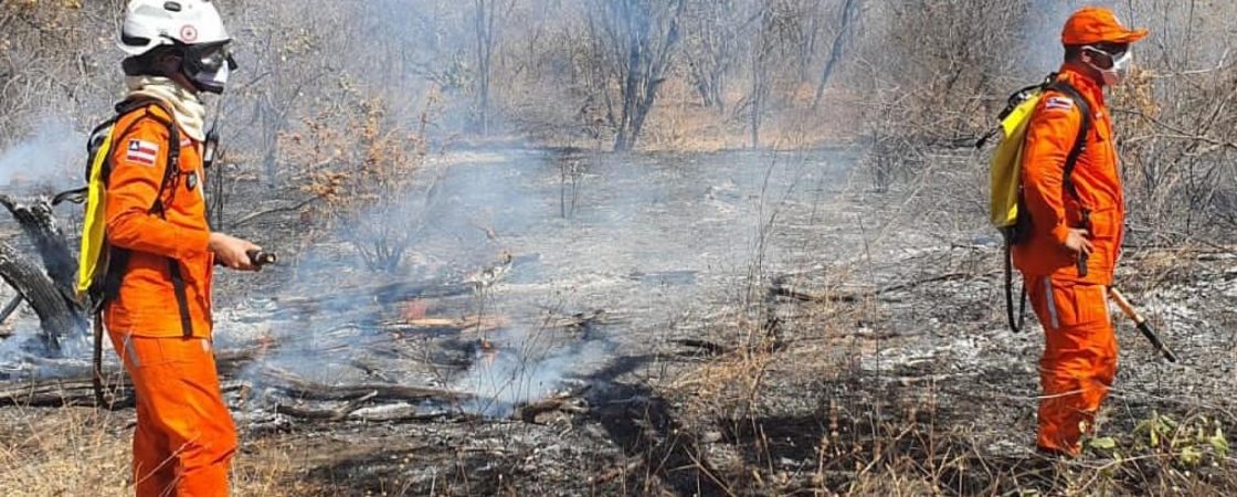 Incêndio florestal é extinto após 11 dias no interior da Bahia