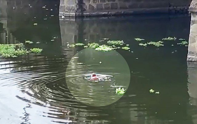 Tragédia: Homem morre afogado ao tentar resgatar corpo que apareceu boiando em rio