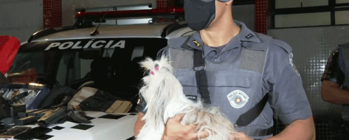 Casal é preso após usar cachorro como ‘disfarce’ para esconder pistola e munição de fuzil