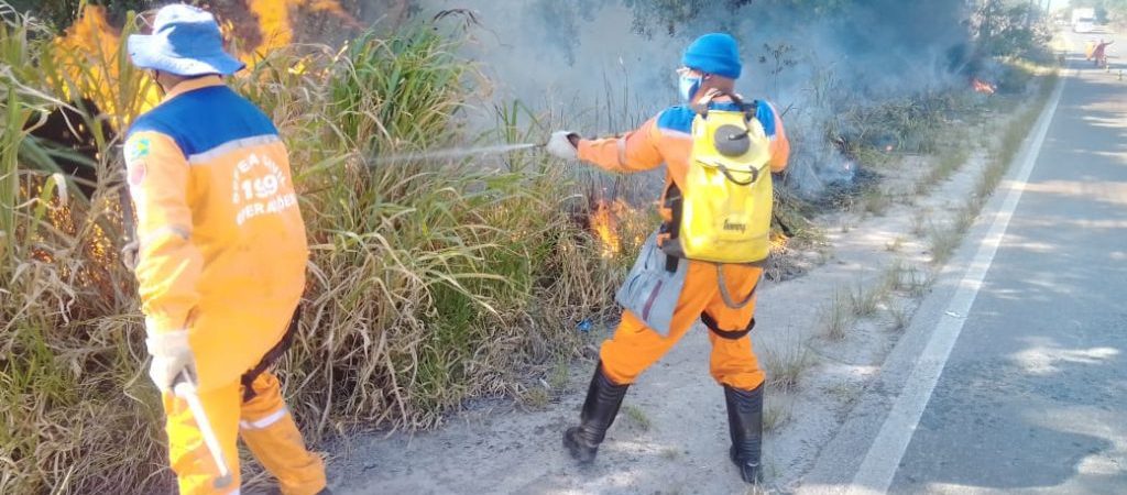 Defesa Civil de Camaçari alerta para riscos de incêndios florestais durante alta estação