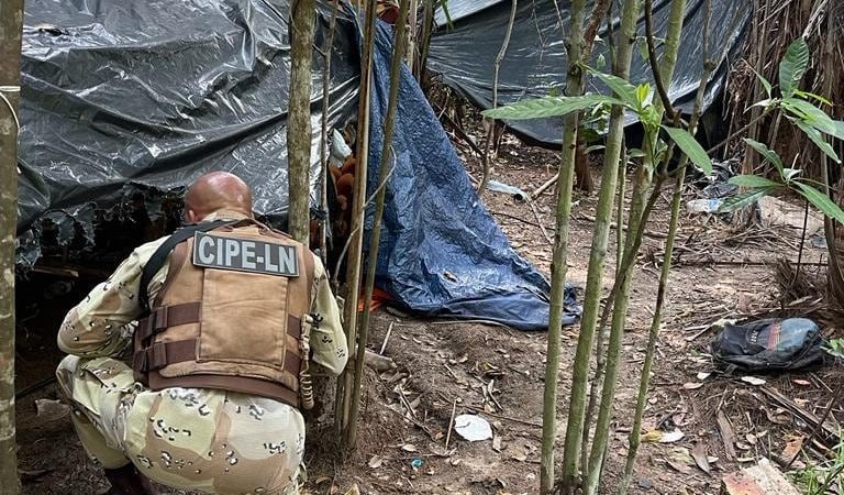 Polícia desmonta acampamento usado para o tráfico de drogas no interior da Bahia