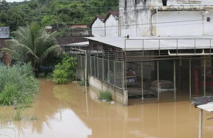 Volta a subir número de mortos pelas fortes chuvas na Bahia