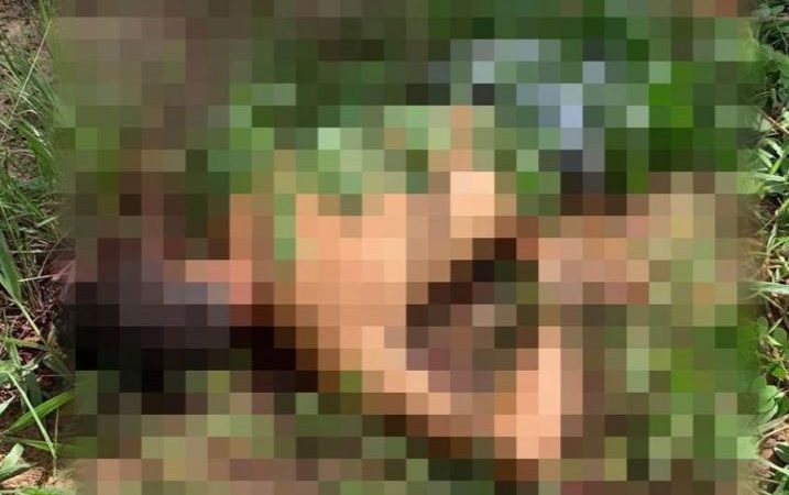 Mata de São João: Corpo de jovem de 21 anos é encontrado na localidade de Água Fria