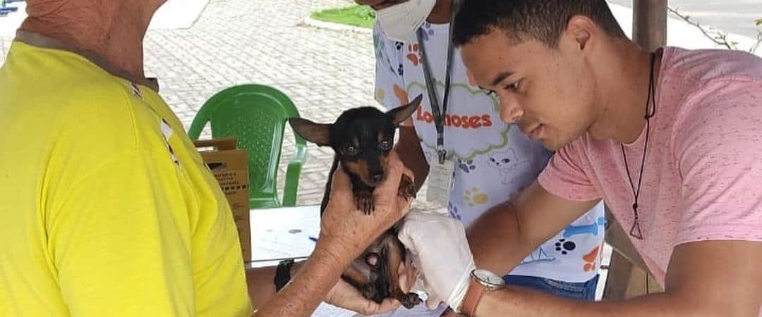 Simões Filho: Final de semana terá vacinação animal antirrábica