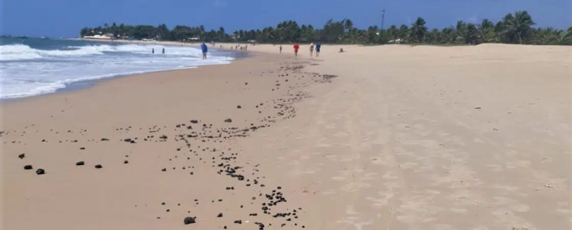 Defesa Civil retira 100 kg de óleo da praia de Itacimirim