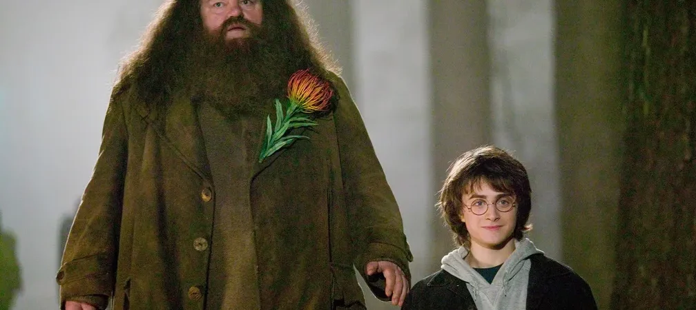 Aos 72 anos, morre ator da saga ‘Harry Potter’
