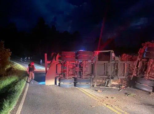 Toras de eucalipto caem de caminhão e matam 5 pessoas em rodovia