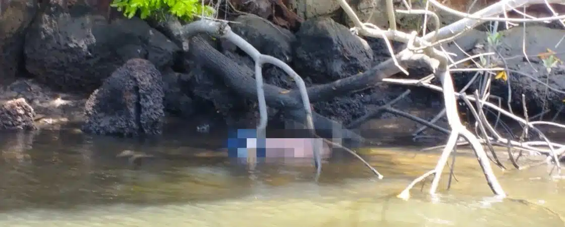 Corpo de desaparecido é encontrado em área de mangue em Barra de Jacuípe
