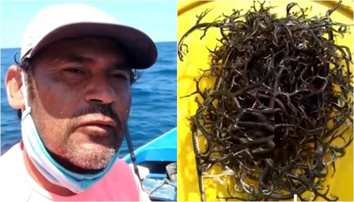 Pescador que pegou animal exótico critica impostores: ‘Botaram até enredo na mentira’