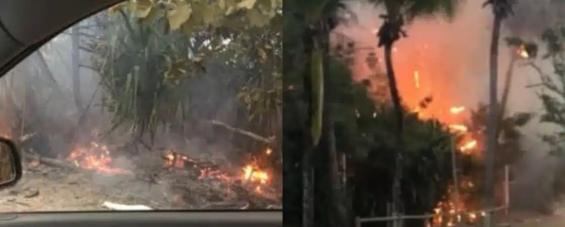 Mata de São João: Incêndio atinge área de vegetação na Praia do Forte