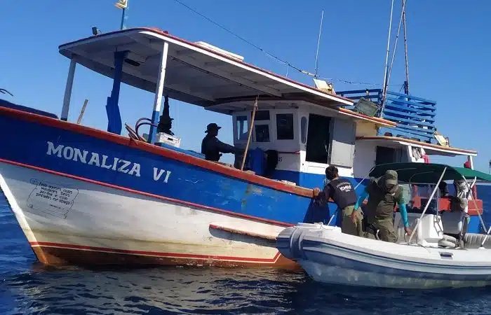 Ação na Bahia combate pesca ilegal de camarão no período de defeso