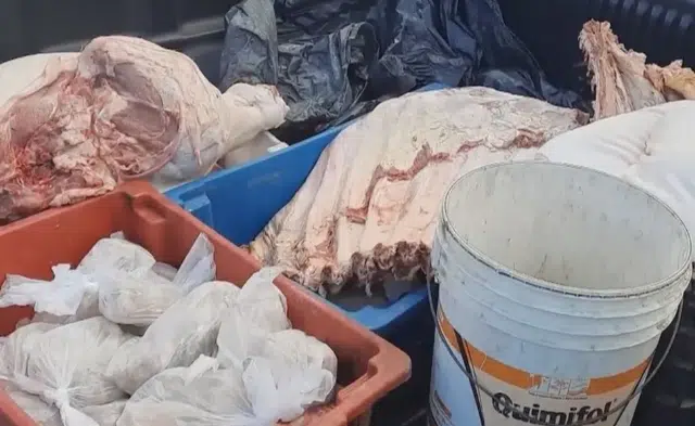 Abatedouro clandestino é fechado na BA; foram encontrados vísceras misturados à lama