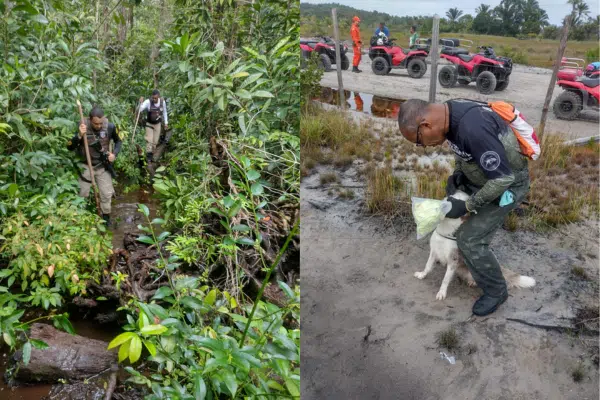 Desaparecida há 48 horas, turista é encontrada em manguezal na Ilha de Boipeba