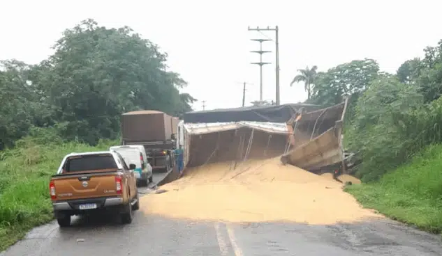 VÍDEO: Carreta de soja tomba na BA-526 e é saqueada por moradores