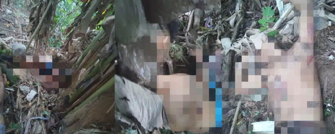 Mais três corpos são encontrados em matagal no bairro de Salvador