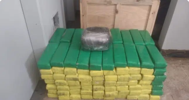 Mais de 200 kg de drogas são apreendidos em Tancredo Neves