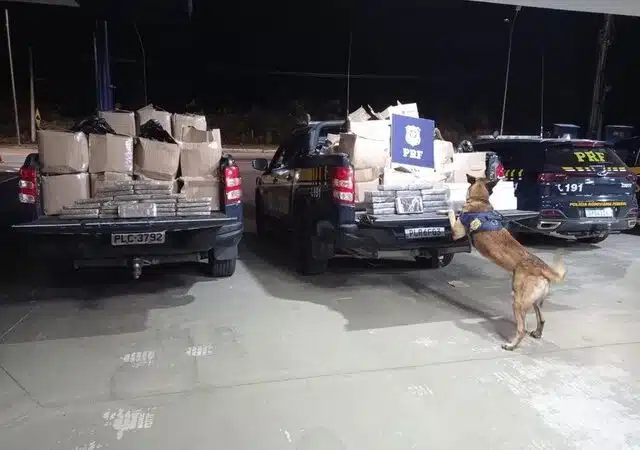 Quase uma tonelada de maconha e cocaína são apreendidas em caminhão na BA