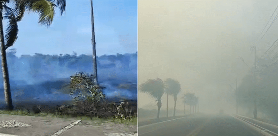 Incêndio atinge área ambiental de Arembepe a populares alegam que ato foi proposital