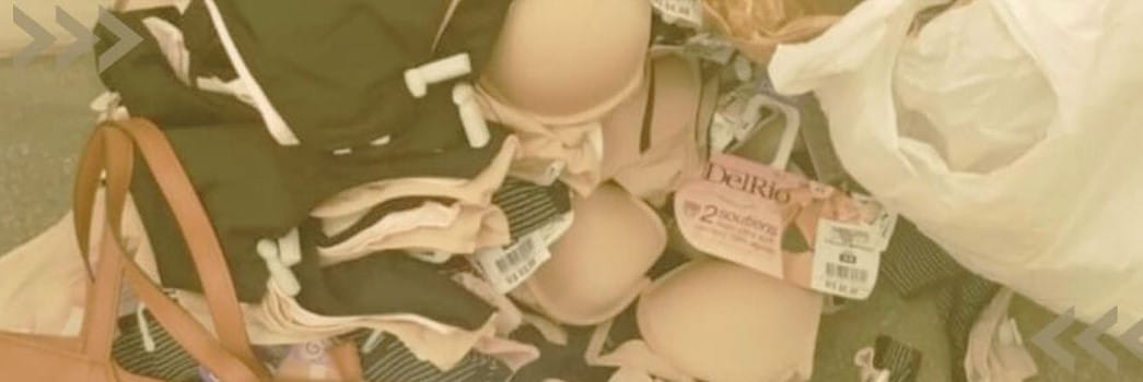 Mulher é presa após furtar lingeries em loja de Lauro de Freitas