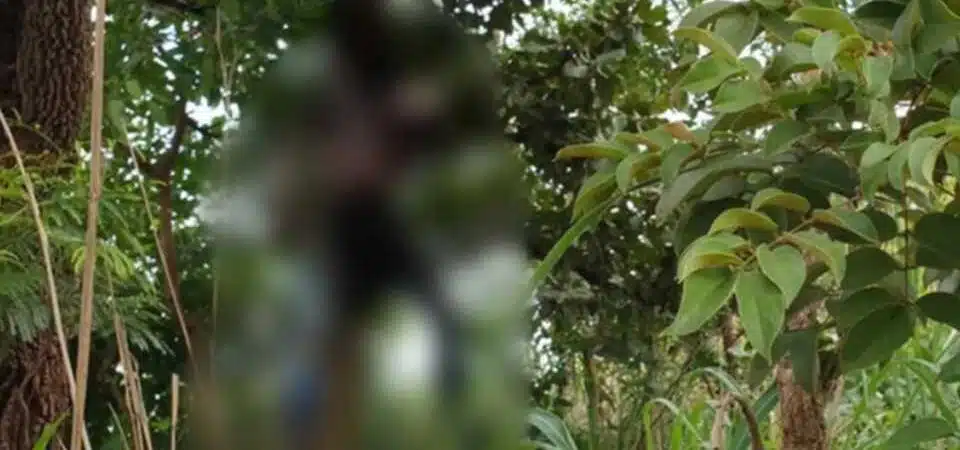 Idoso é encontrado morto pendurado em árvore na Bahia