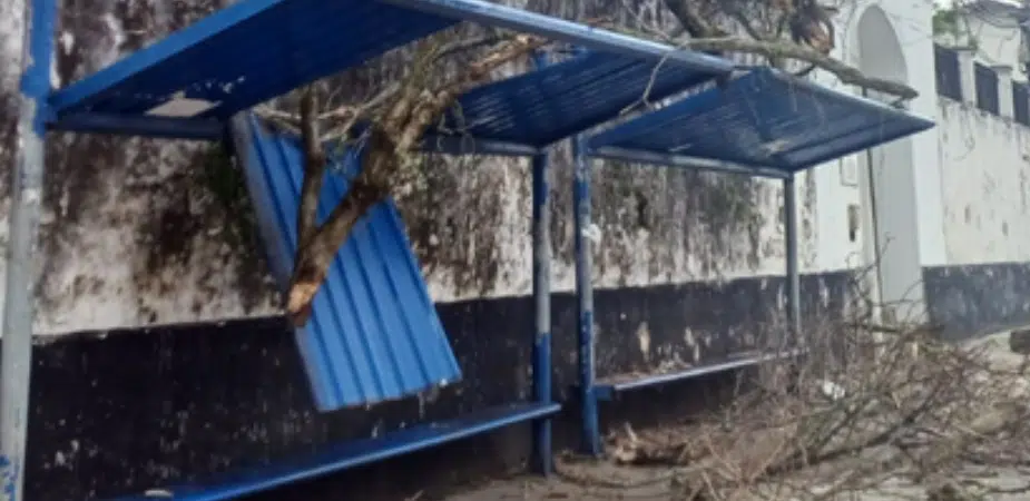 Árvore derruba cobertura de ponto de ônibus durante chuva em Salvador