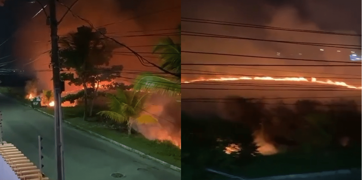 Novo incêndio é registrado em vegetação de Arembepe, menos de 24 horas depois do último incidente do tipo, na mesma região