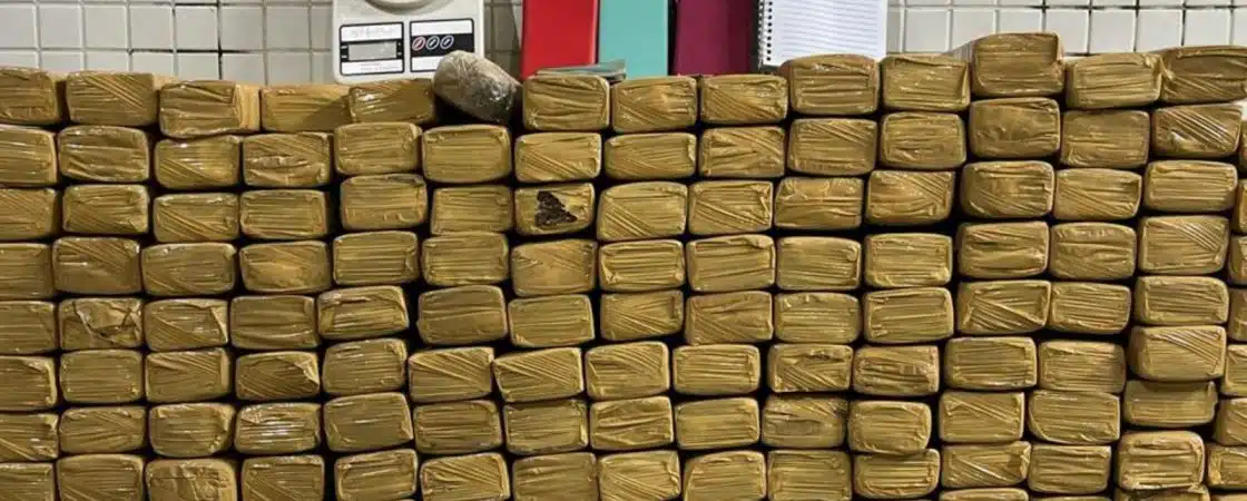 Polícia apreende mais de 160kg de maconha em Salvador