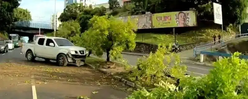 Caminhonete do Exército derruba árvore após acidente em Salvador