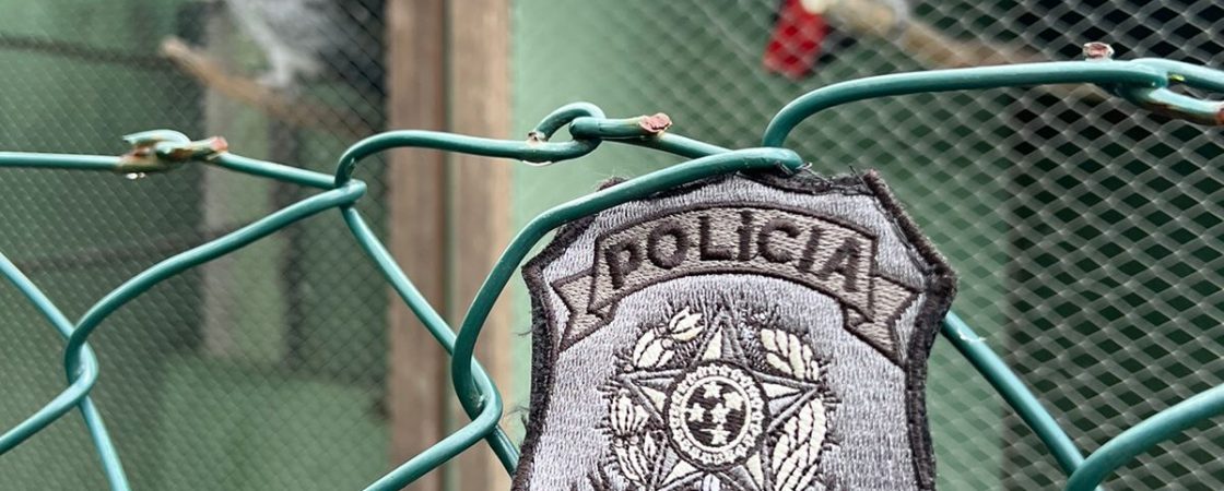 Polícia Federal deflagra Operação Voo Livre em Camaçari