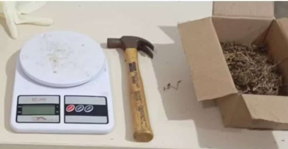 Mãe de criança morta com martelo é presa na Bahia